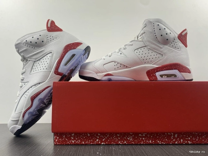 Reps TB CT8529-162 Hare Jordan 6 Retro 0629